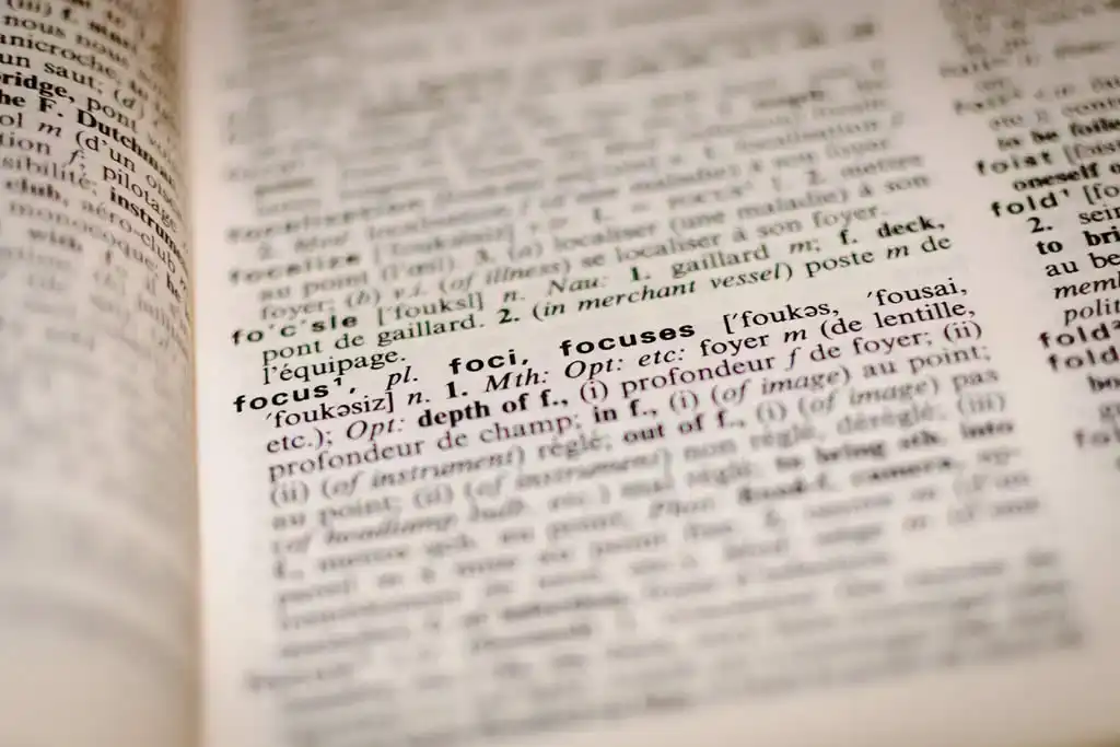 We makes your website talk many languages. From translation to dynamic setup to let users
                            meet the language they know.